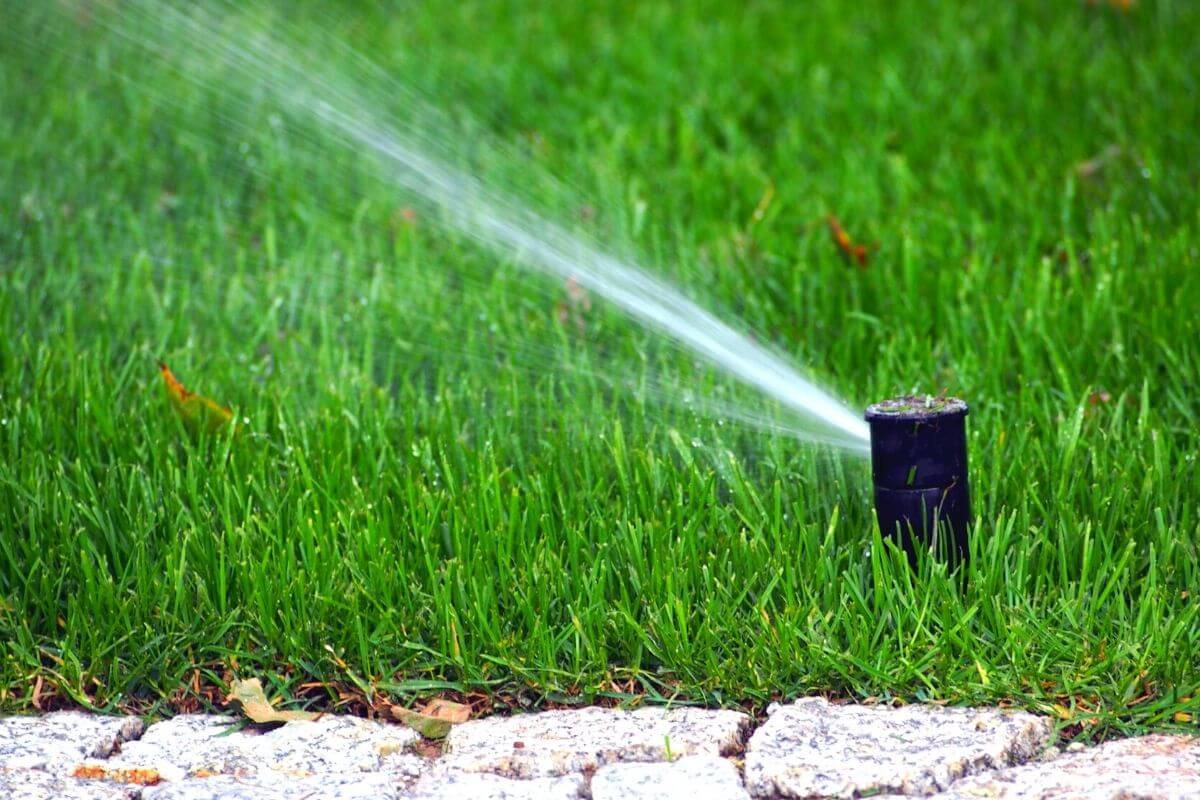 Sprinkler System Activation Safely Getting your Irrigation Working