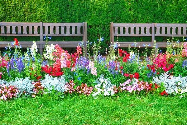 Flower Bed Maintenance Redmond, WA